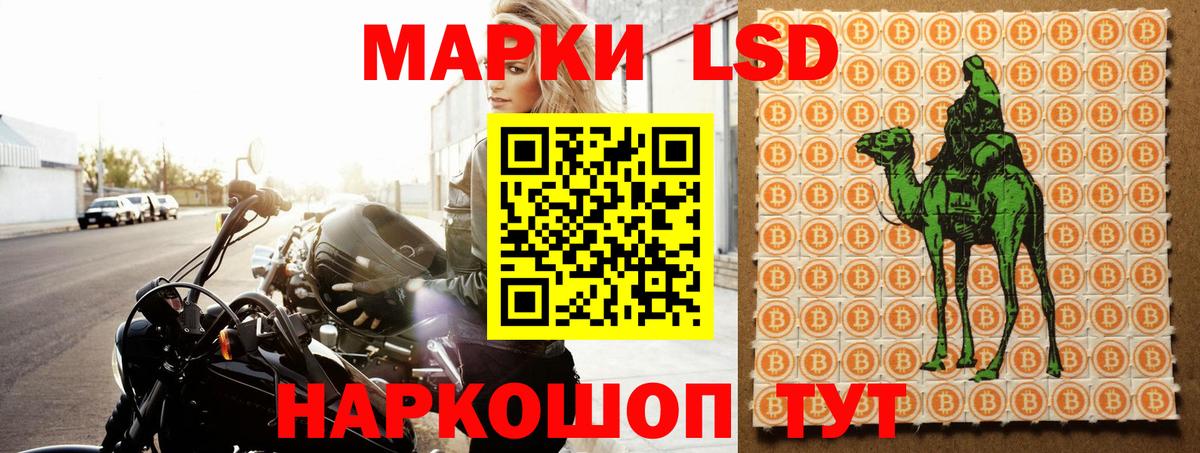 ЛСД экстази ecstasy Санкт-Петербург
