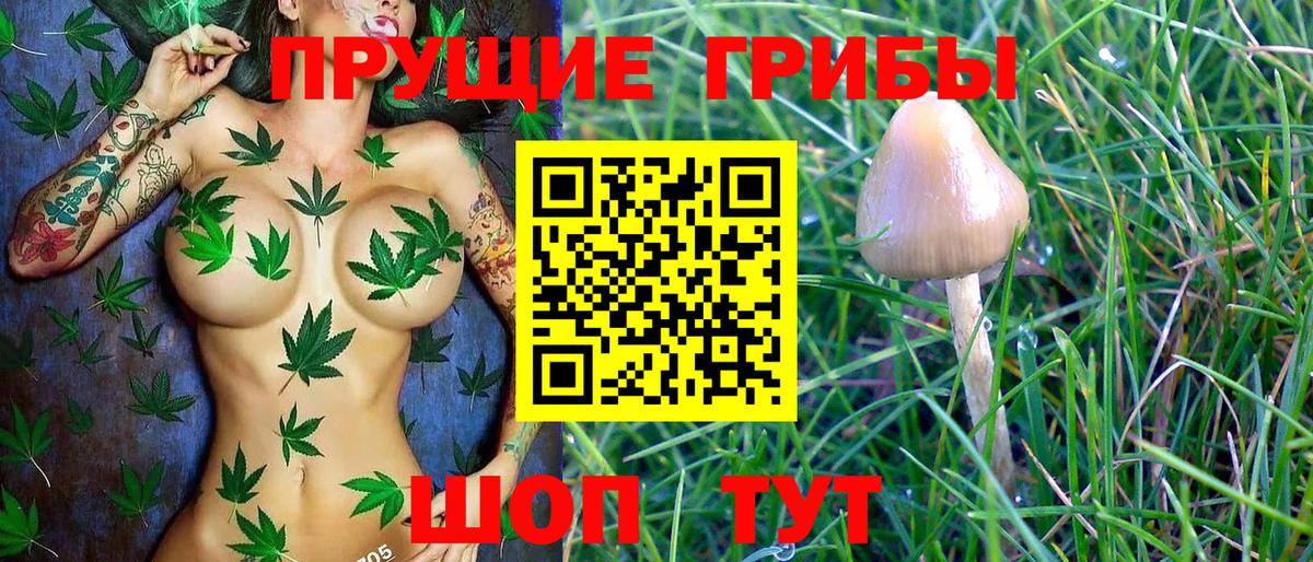 Санкт-Петербург  Псилоцибиновые грибы Magic Shrooms  Галлюциногенные грибы MAGIC MUSHROOMS  Вход с VPN 