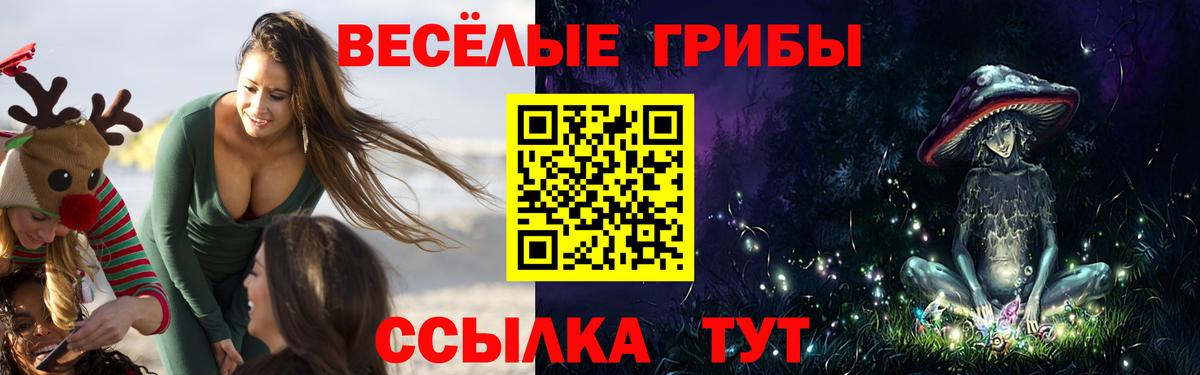 Псилоцибиновые грибы мухоморы Санкт-Петербург